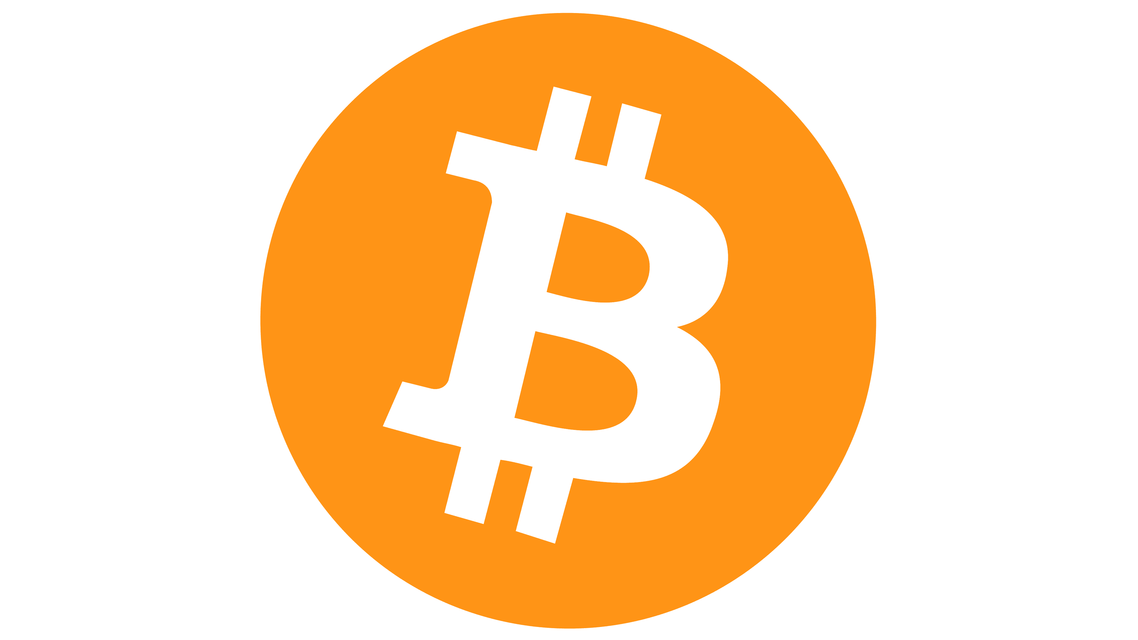 Bitcoin Crypto Payment